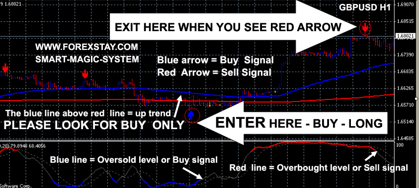 ForexStay