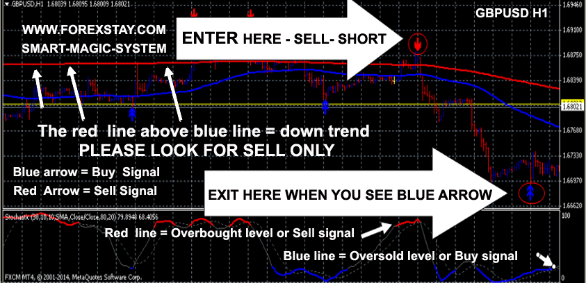 mql5 forexstay