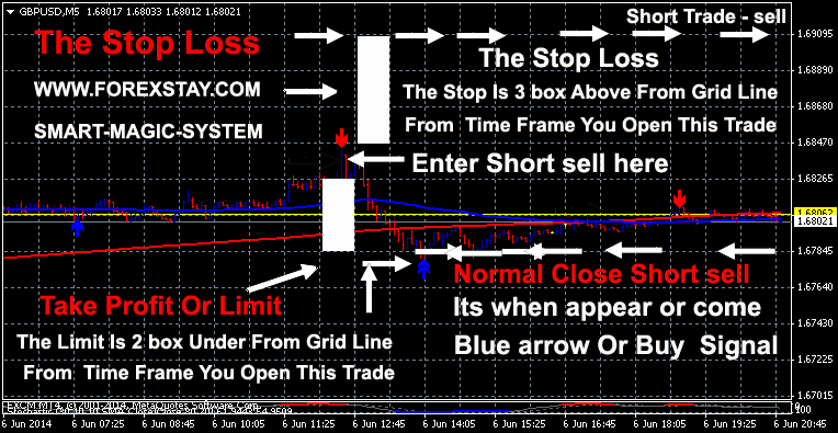 ForexStay